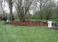 Anlæg af surbundsbed til rhododendron